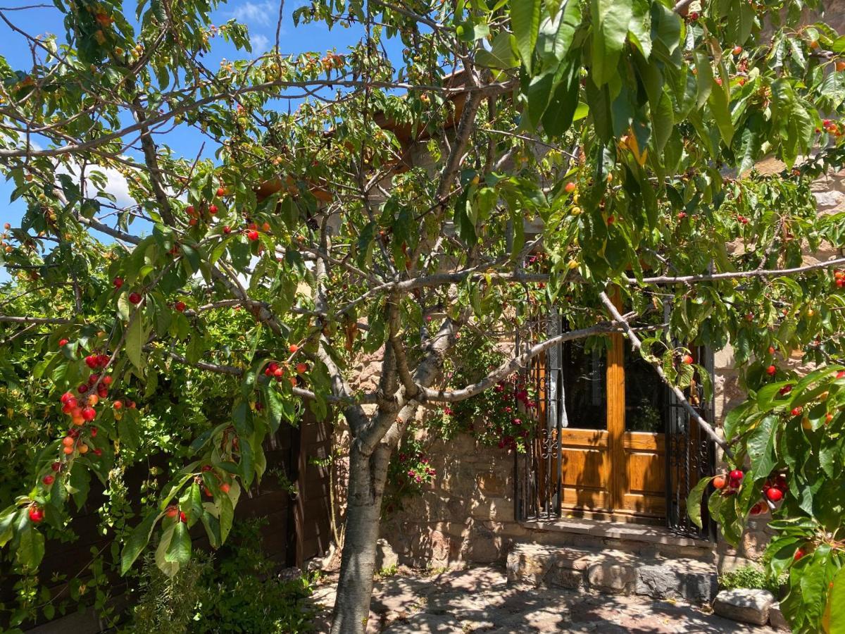 Era De Trespui En Pirineos Villa Peramea Buitenkant foto